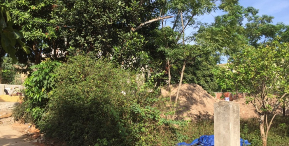 Bán nhanh lô đất sát trường lái Đức Ninh giá tốt mua để ở hướng đông nam