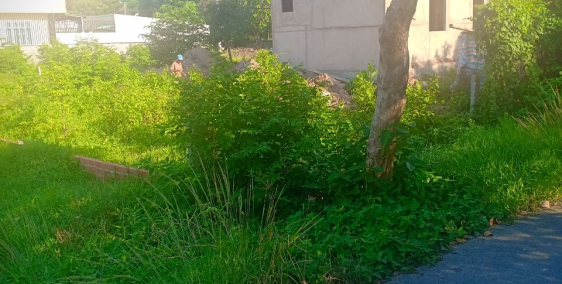 Bán gấp lô đất 222 m2 thổ cư,MT trần thị ngần 12m,SHR.