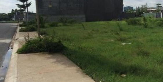 Cần tiền chữa bệnh bán đất Nguyễn Văn Bứa, Hóc Môn.