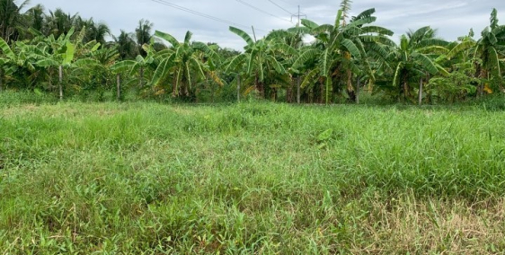 Cần bán lỗ miếng đất P9 cách đường Đinh Bộ Lĩnh 100m để trả nợ