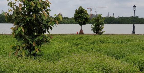 Bán đất nền Biệt Thự Thạnh Mỹ Lợi Quận 2, 10x20m giá 18ty