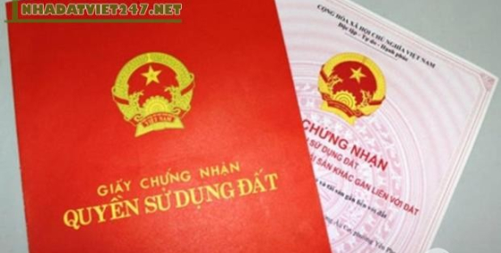 Đất Vàng Hiếm quận Tây Hồ 120m2*MT11m Oto chỉ 8.8 tỷ