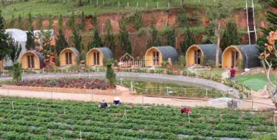 Sở hữu 5000m2 đất trang trại tại Lâm Đồng FarmStay chỉ với 370 triệu