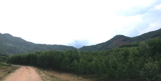 bán lô đất 27.000m có tầm nhìn Hồ Cây Sung yên tĩnh thoáng mát