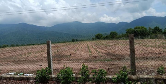 Đất Trang Trại Thuận Minh, Hàm Thuận Bắc, Bình Thuận