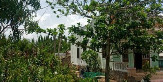 Cần bán gấp đất trồng cây lâu năm tại xã Hiệp Phước, huyện Nhà Bè