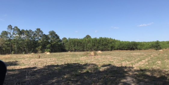 Bán đất Bàu Cạn, đón đầu thành phố sân bay Long Thành chỉ 800 triệu/sào.