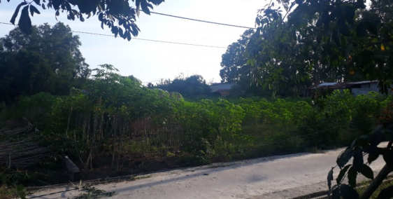 Cần bán 2 sào đất trung tâm Tân Hiệp, gần sân bay Long Thành, SHR chỉ 6.5 tỷ.