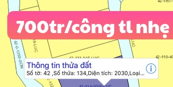 cần bán ruộng phú đông 700tr/1000m2