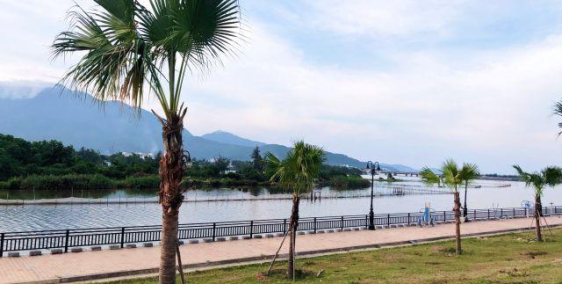 Dự án số 1 đường 6m - 180m2 không vượt quá 400tr lô