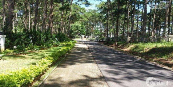 Chính chủ cần bán 2 căn nhà Trung Tâm TP Đà Lạt, view đẹp, giá tốt.