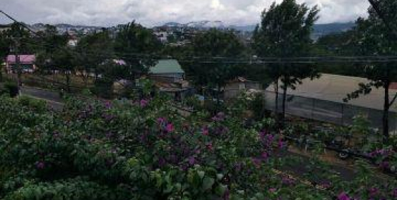 CẦN BÁN GẤP LÔ ĐẤT XÔ VIẾT NGHỆ TĨNH TP ĐÀLẠT