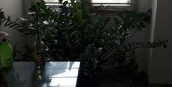 Bán nhà Thái Thịnh, ngõ oto, kinh doanh mọi hình thức, giá chỉ 11 tỷ