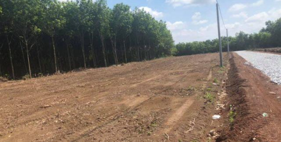 đất nền giá rẻ nằm cạnh khu du lịch sinh thái