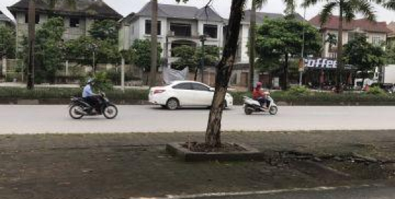 Bán biệt thự L3-xB khu đô thị Thiên Đường Bảo Sơn. DT 130m2, xây thô 3,5 tầng.