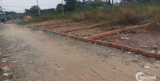 Bán nhà chính chủ ở ấp 3 đường Bộ Đội An Điền xã Vĩnh Lộc A, BC