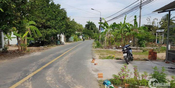 Bán đất lớn mặt tiền lộ 923 ô môn dt 5.305m2 thuận tiện làm trang trại, nhà xưởng kinh doanh - giá chỉ 5 tỷ 500 triệu