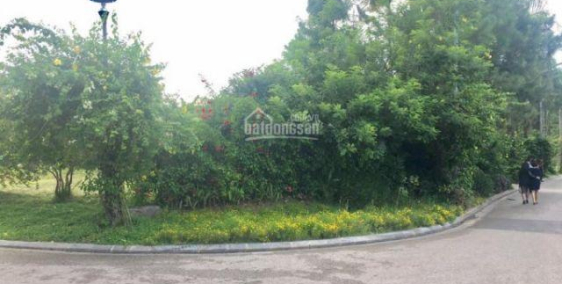 Flamingo Đại Lải Resort: Chính chủ cần bán Bán lô đất 349m2, 21tr/m2. Lh 0946872786