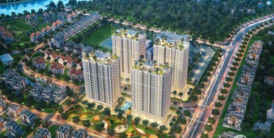 DỰ ÁN MƯỜNG THANH GÒ VẤP-DỰ ÁN MƯỜNG THANH GÒ VẤP