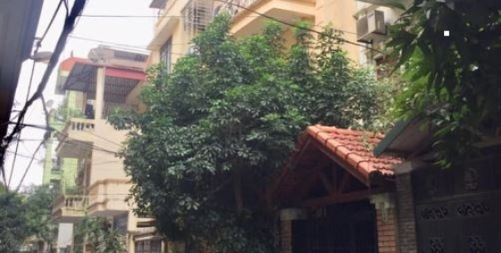 cho thuê làm văn phòng, dạy học...kv Lạc Trung