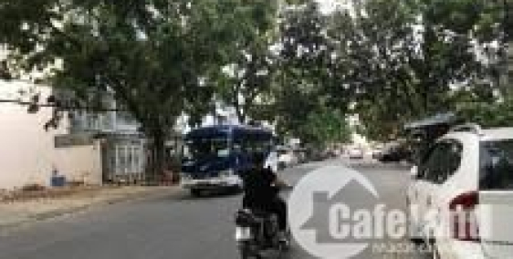 Cho thuê nhà đường 38 khu dân cư Tân Quy Đông, Phường Tân Phong, Quận 7.