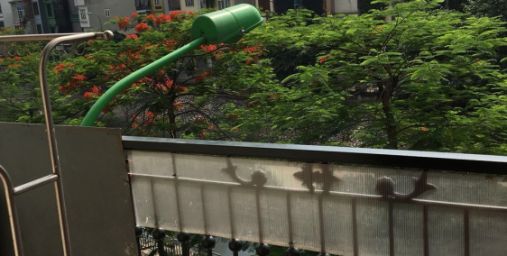 Phòng tầng 3 cho thuê thoáng mát,sạch sẽ .An ninh tốt