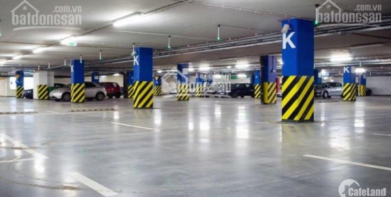 Cho thuê gấp VP đường Trần Đăng Ninh VT đắc địa, sàn thông, lối đi riêng, hầm để