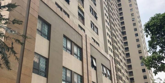 Bán gấp căn hộ chung cư 55m2 KĐT Tân Tây Đô, Full nội thất.