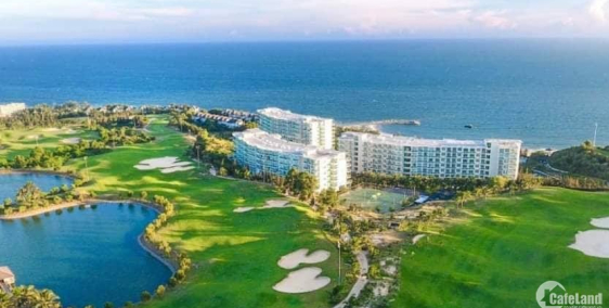 Bạn biết gì về căn hộ nghỉ dưỡng Ocean Vista, đây có phải là lựa chọn tốt?