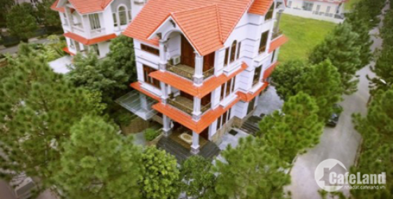 Tưng bừng khởi công, mua đất biệt thự siêu ưu đãi chỉ 3.5 tỷ