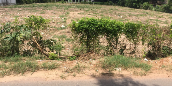 BÁN ĐẤT Bến Cát Bình Dương ĐÃ LÊN THỔ CƯ