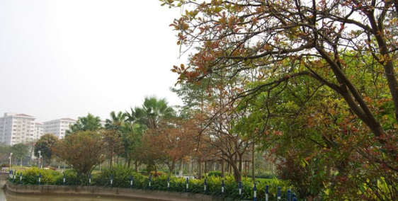 Bán căn biệt  thự nhà vườn cực đẹp tại huyện gia lâm LH 0983.213.453