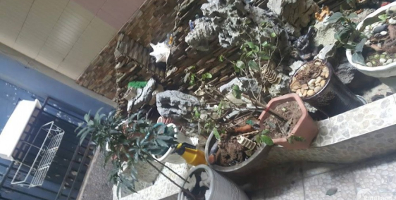 Bán nhà Lê Quý Đôn Hoàn Kiếm 100m2 , 8m mặt tiền , giá 7,8 tỷ đồng