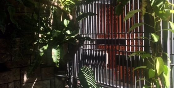 Bán nhà Kiệt Trưng Nữ Vương – Kiệt thẳng thông thoáng, gần  cầu Rồng.