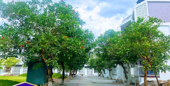 Sở hữu nhà liền kề nam 32 chỉ từ 3,4 tỷ/căn, nhanh tay mua ngay