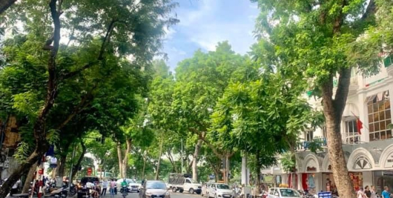 Bán nhà mặt phố Bà Triệu, gần hồ, 200m2, mặt tiền 6.5m, LH 0982898884