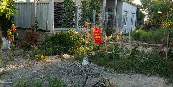 BÁN ĐẤT MẶT TIỀN ĐƯỜNG LỚN TÂN TRÀO – NHANH TAY SỞ HỮU LÔ ĐẤT ĐẸP