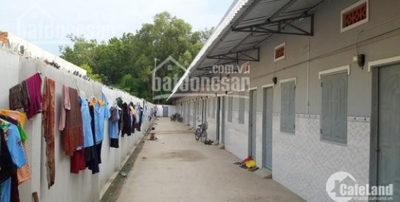 Cần sang nhượng dãy trọ Trên Đường Vường Thơm,Xã bình lợi, Bình Chanh, Giá 1ty6