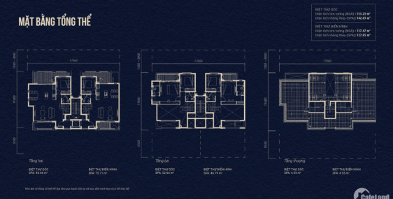 EmThi tư vấn và BOOKING Shophouse Swan bay Nhơn Trach - Đồng Nai (chỉ 50tr/căn).