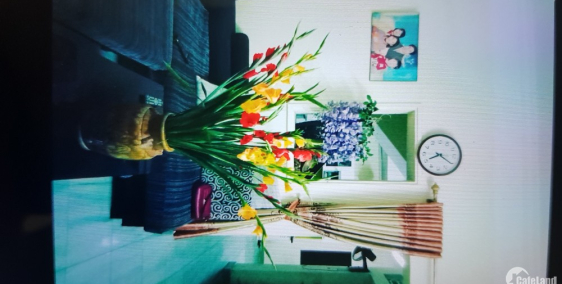 Bán nhà Hồ Đắc Di 52m2 khu dân trí cao chỉ 4,3 tỷ