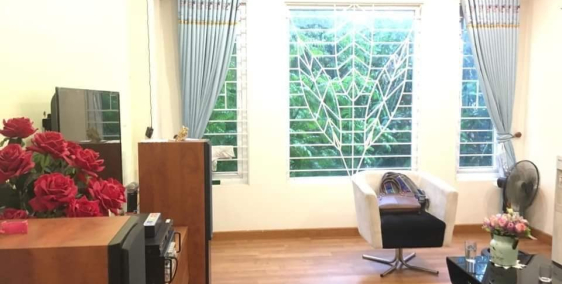 Nhà Đẹp Phân Lô Phố Võ Thị Sáu, Hai Bà Trưng, 52M, 5T, Giá 3.3 tỷ. LH 0942369345