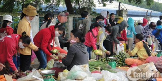  SANG LẠI GẤP 2 DÃY NHÀ TRỌ ĐANG CHO  THUÊ GỒM 14 PHÒNG VÀ 2 KIOT .