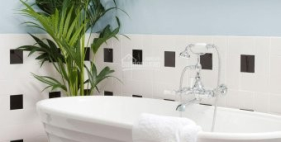 Biệt thự Thảo Điền 400m2, hồ bơi, sân vườn, 8PN, giá 75 triệu