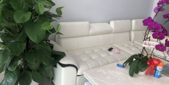 Cho thuê biệt thự cao cấp - tiện để ở và kinh doanh - chỉ 25 triệu...