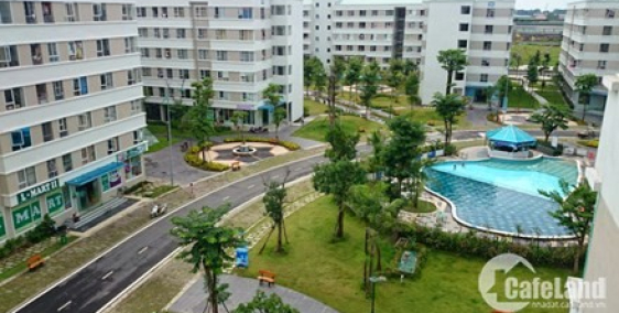 Cho thuê chung cư cực đẹp, giá cực hợp lý