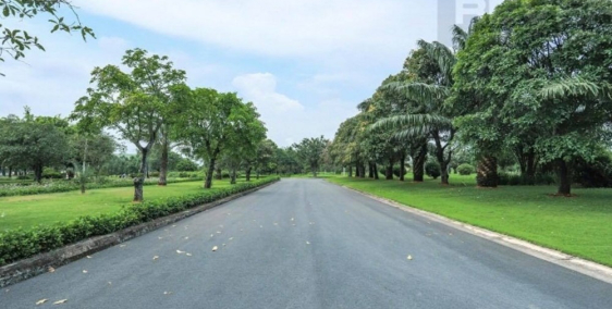 Dự án đất nền E.City thị trấn Đức Hòa, Long An