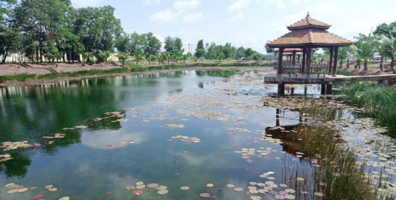 Đất Nền Bình Chánh Giá Chỉ 800tr/nền Cam Kết Giá Thấp Nhất Khu Vực