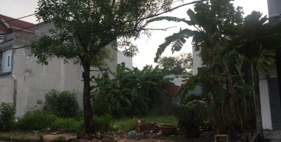 Đất mặt tiền đường tỉnh lộ 8, trung tâm thị trấn Củ Chi, 800 triệu/85m2