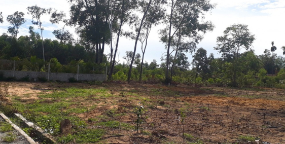 Chỉ 300 tr/nền – Đã có sổ Gần suối khoáng nóng Hà Mỹ Á