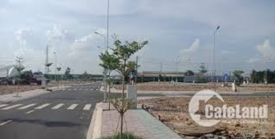 Mở Bán Giai Đoạn F0 Tân Lập Future chỉ 700tr/nền.LH:0981.147.078